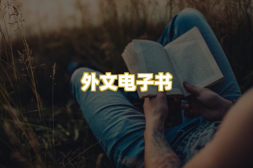 外文电子书